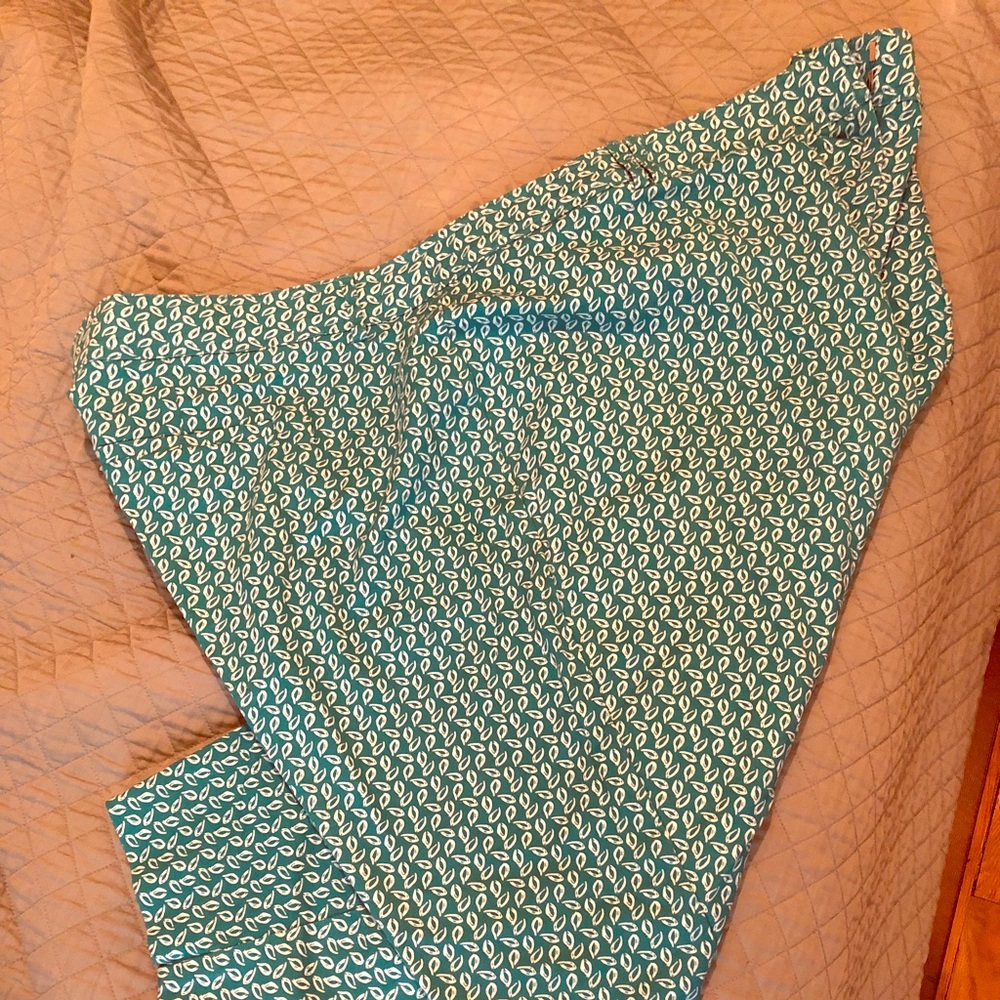 Briggs New York Teal/White Plus sized capris